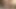 Indian Desi Bhabhi ki Tight Gand mai Mota Lora Big Ass Indian Bhabhi Anal Desi Sex