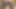 New porn video of a youtuber boy sitting on a huge cock (Viral video) (Xblue18)