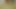 Kurara momose - japon güzellikleri