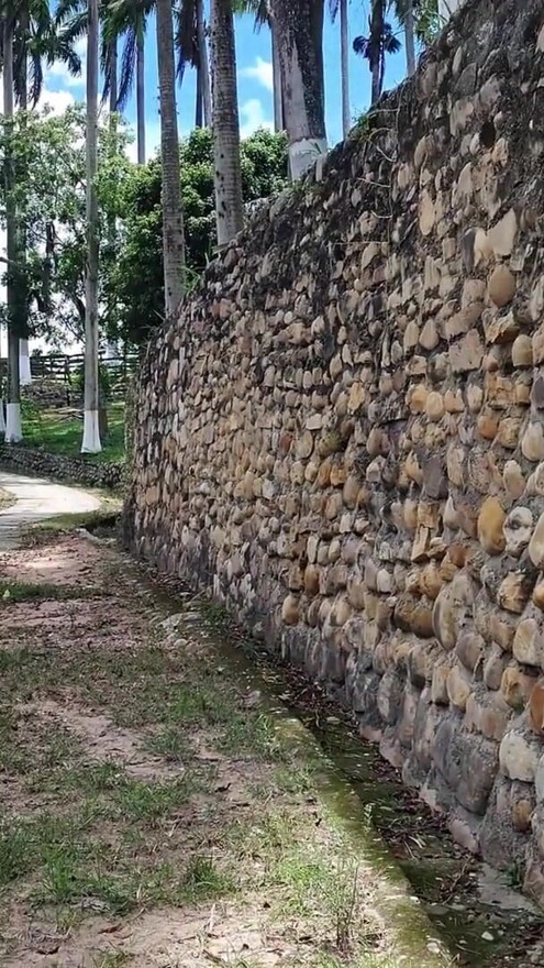 Esposa infiel chupando y follando al aire libre y luego se la follan duro y crudo después de chupar culo | Clip 1