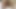 कार्मेला प्लश on onlyfans orion4bbw
