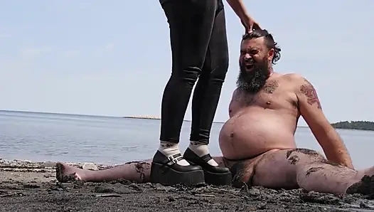 Gaspesie Cock Trampling