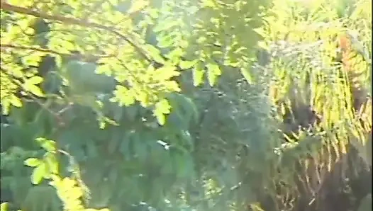 Sexy young couple pussy fucking in the forest