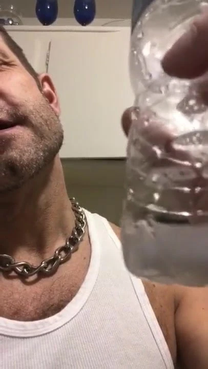 Sperm pig