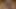 Black Midget with Big Tits and Nipples Gives Super Hot Blowjobs