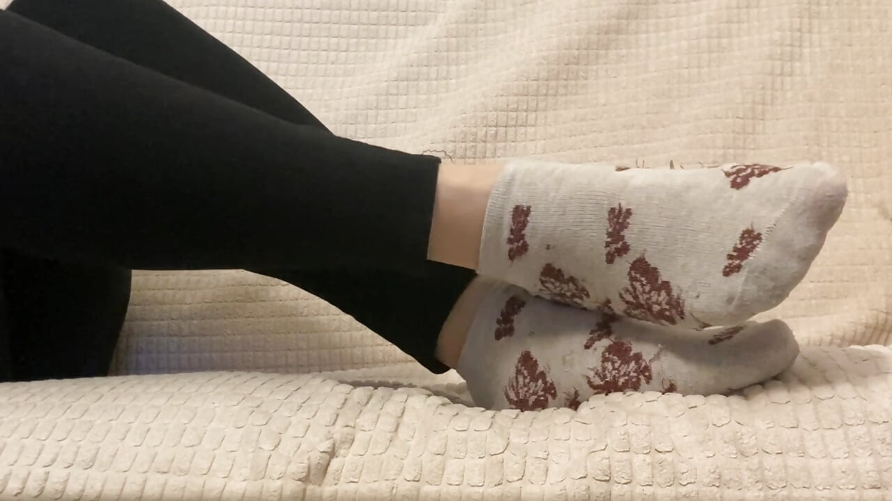 在我忽视你的时候吮吸我的袜子