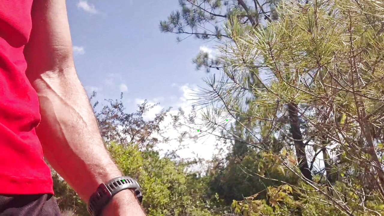 Risky Nature Walk Jerk Off - Got Super Horny and Stroked My Cock Outside