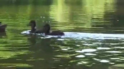 Twinks Fantasy of being Fucked in the Park.