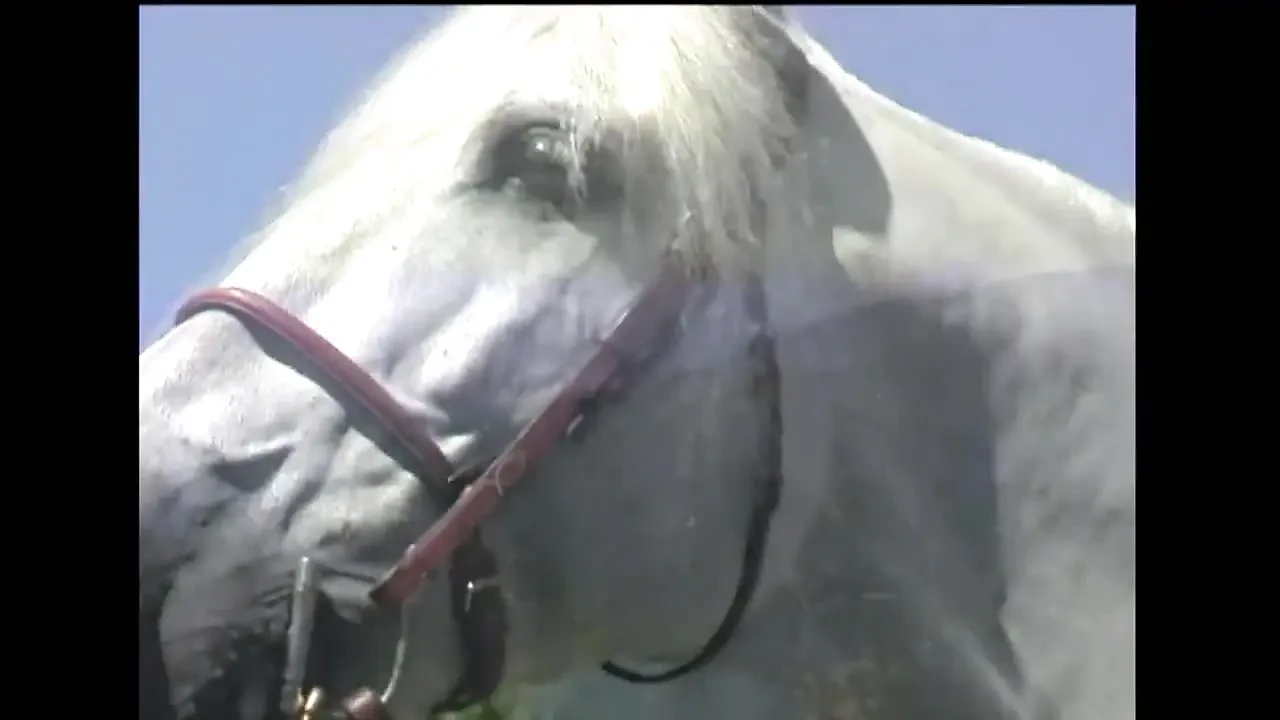 Jessica Jaymes - outdoor,big tits