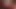 gilf sucking cock 1