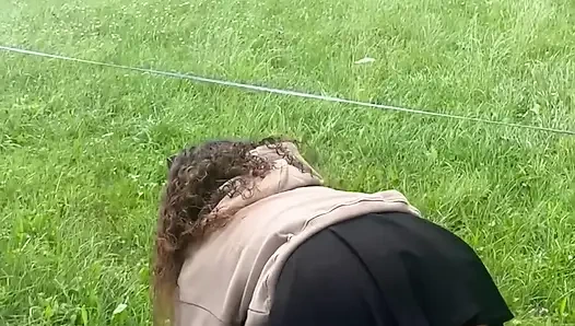 Bahse girerim. Sidik Meydan Okuması