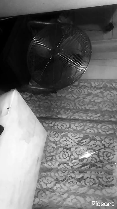 Νεαρή με διχτυωτές κάλτσες