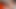 Double gift, Bruta.ly fucked by a trans and husband together. Pt 1 (Full video on OF page).