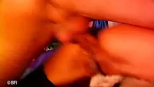DVD ngentot anal