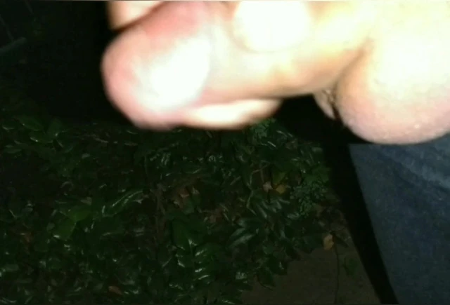 Wichsen im freien in der Nacht