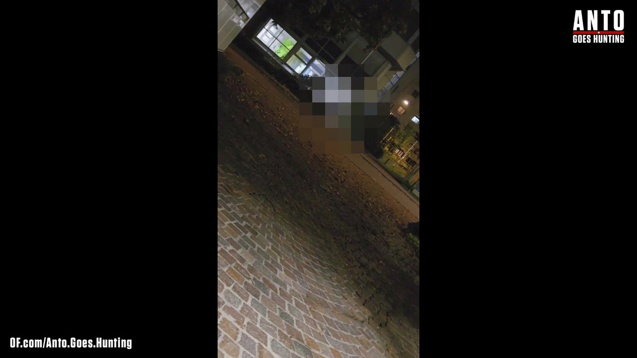 另一个保安走近并说服