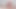 Big Cock Cumming with Foreskin Masturbation Lots of Hot Cum Splashes
