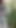 Stripping & Cumming in the Woods