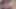 Huge cock shemale Cum eating instructions & JOI