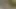 I Masturbate Watching an Unknown Girl While She Gets Wet in the Lake and I End up Fucking Her Hard and Cumming on Her Ass.