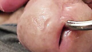 Squeezing my cock with a urethral sounding rod in my dick hole