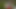 Korona sırasında kolonya&#39;da dışarıda seks toplantısı