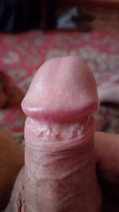Lick my dick