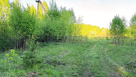 Рыжая попутчица трахается с незнакомцем прямо в машине и лесу