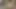 Amcık arzulu lezbiyenler Cora ve Adele dildo kullanarak ateşli 69 yapıyor!