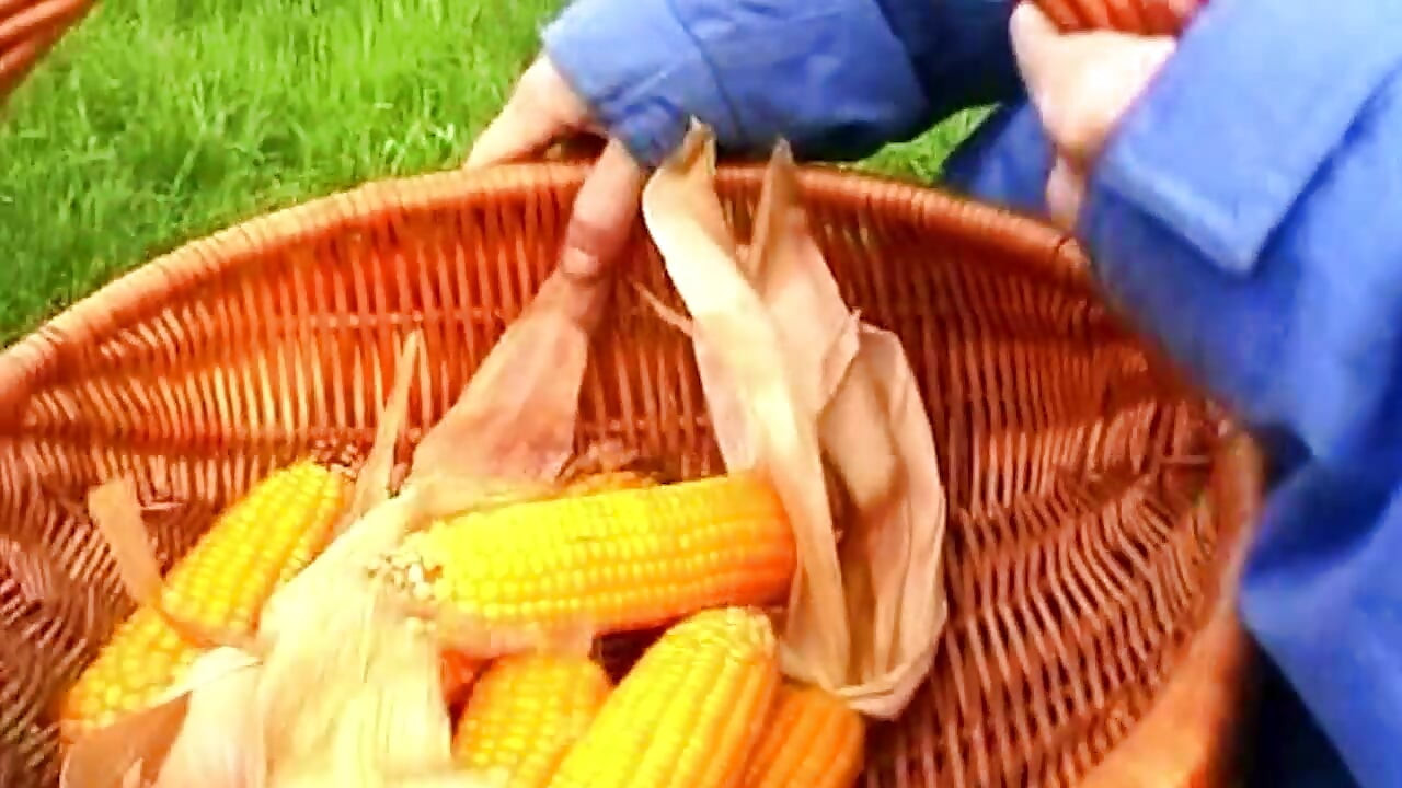 Massive Corn Cob Stretching Gaping Pussy Wide Open Outdoors