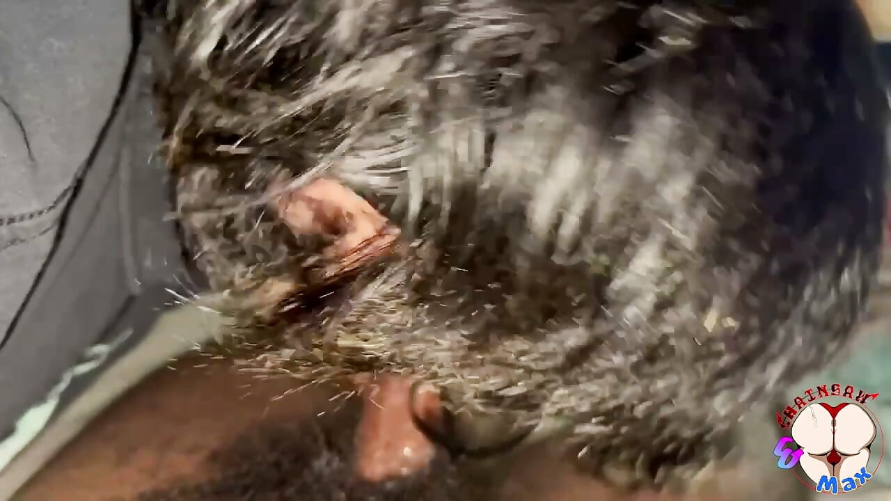 Max Feeds Chainsaw His Dick Then She Bounces That Fat Ass Back On Him