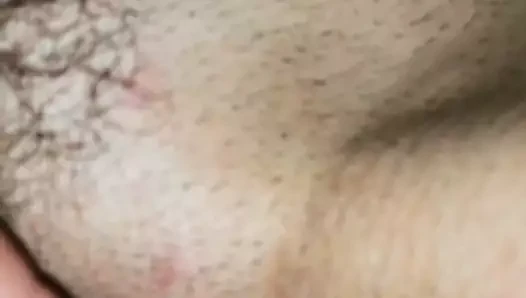 Muschi
