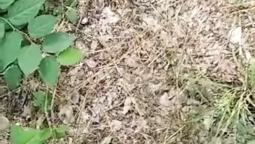 videom