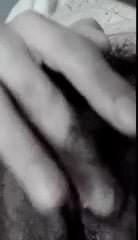 Pussy hary