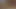 Falconstudios Sean Zevran bekommt ein tolles Hämmern