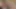 Transbian Wild Outdoor Adventure at Our Private Creek! HOT ANAL Nature Fucking Scene XXX