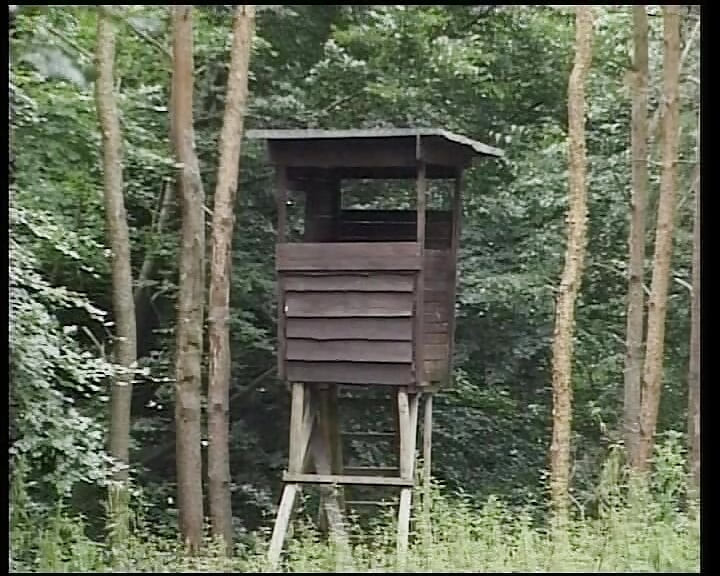 Mollige Duitse milf berijdt pik en laat het overal klaarkomen in het bos