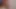 VRSpy Official