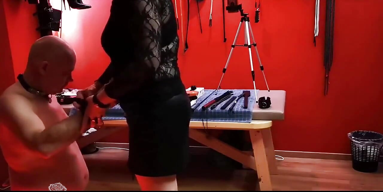 911662902006530049