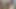 このいたずらっ子の口の使い方は本当に素晴らしく、とても美味しくて、とても楽しめます。