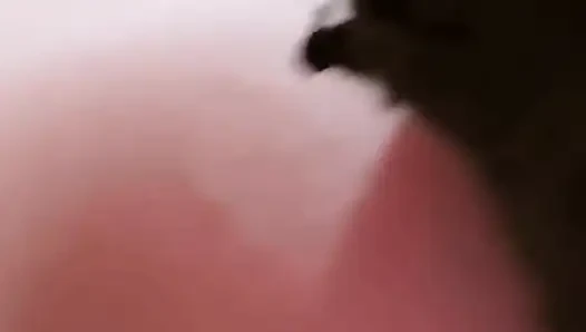 Hot Arab Sex Women Saudien Wife