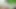 My girlfriend wants spontaneous sex right in a forest grove