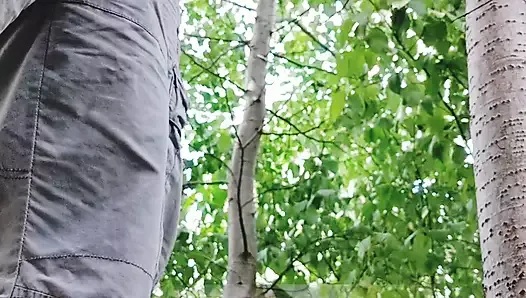 Quick orgasm in the park