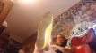 Pregled videozapisa
