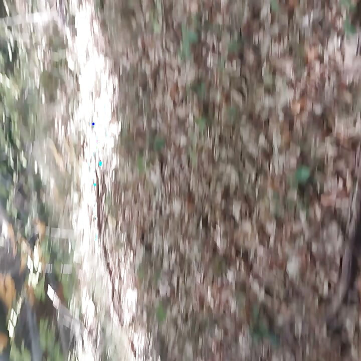 Parkta oral seks ve boşalma