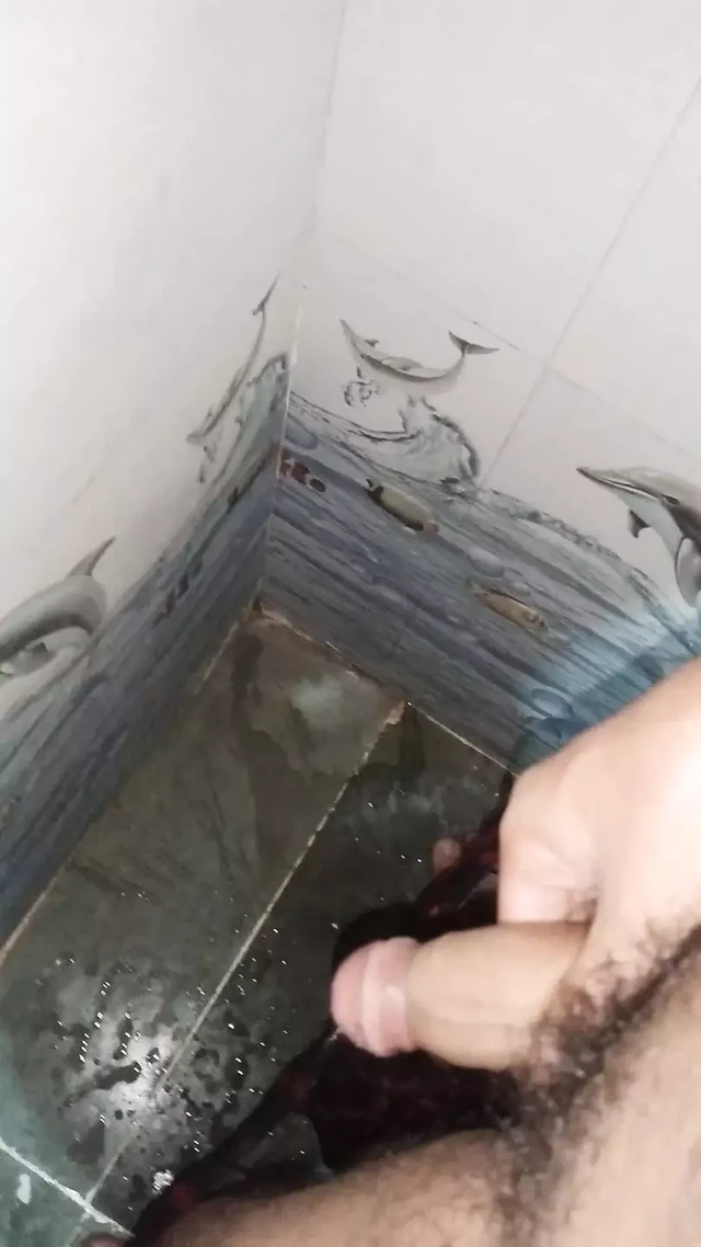 Everybody at home so masterbating in the bathroom secretly