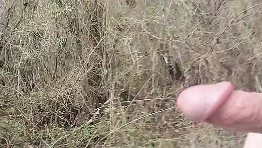 Average Cock porn video – Walking down an old road.