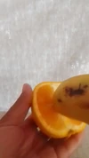 Videoförhandsgranskning