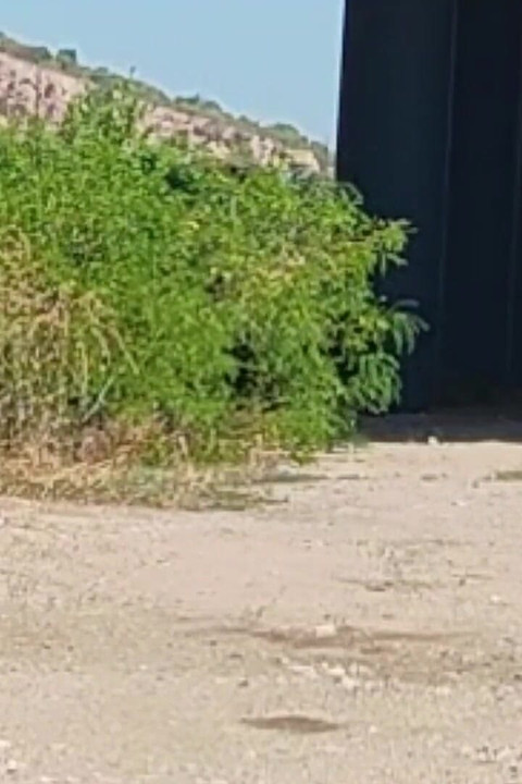 Slave Tih Shows Her Pussy and Tits Under the Bridge