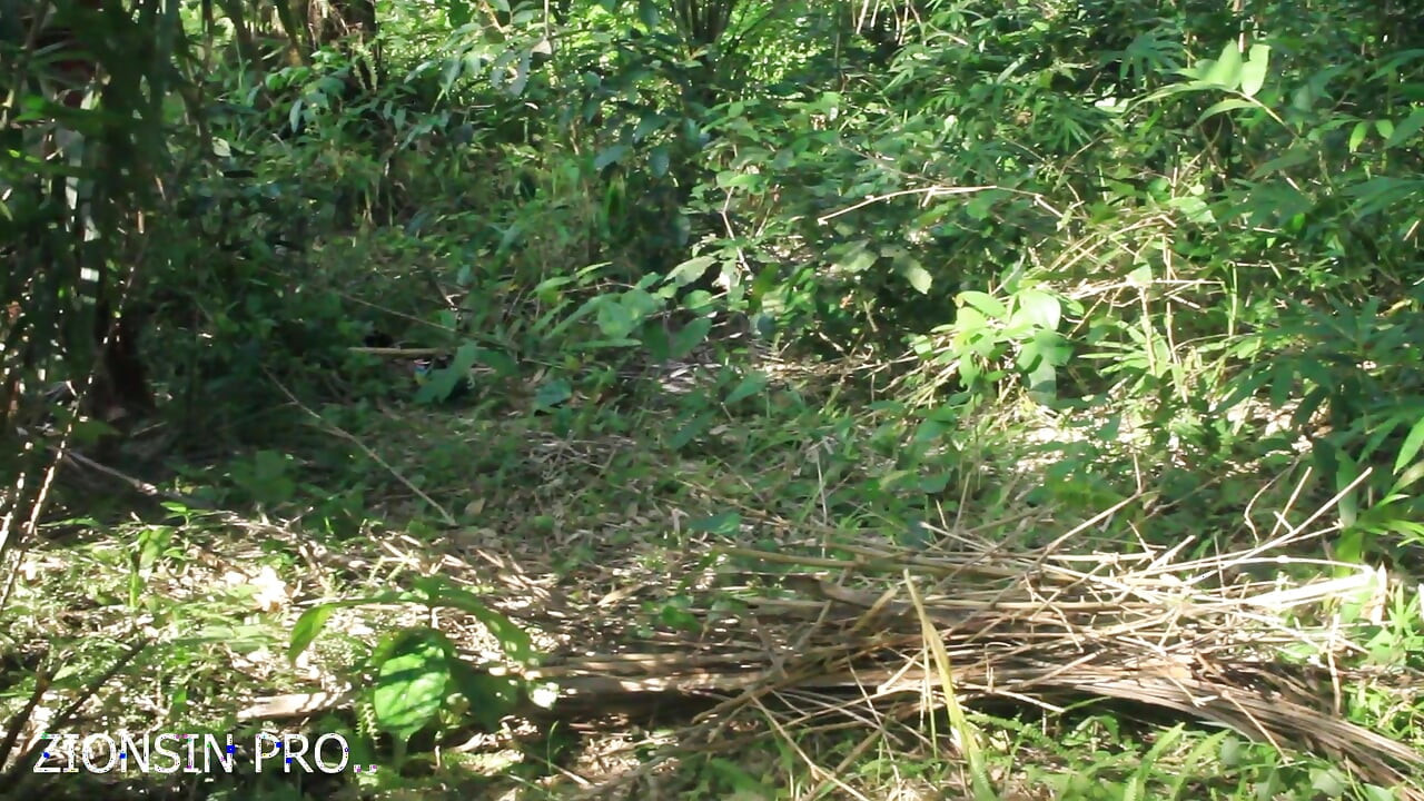 African girl in search of firewood in the bush got fuck by a bush man